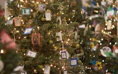 Festival of Trees Comes Of Age