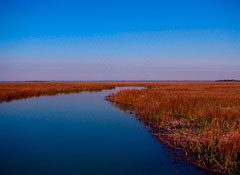 Tybee Island: The Great Escape(s)