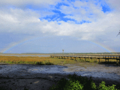 mayor-beaufort-lowcountry2