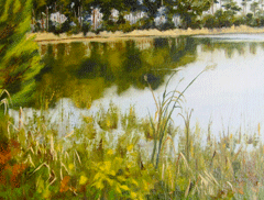 Variations on a Marsh View