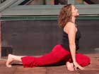 ask-yogi-rooftop2