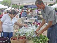 farmers-markets-beaufort4