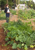 farmers-markets-beaufort5