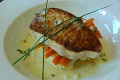 foolish-frog-fresh-loca-lcobia