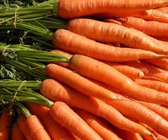 garden-carrots-lowcountry