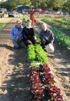 civitas-local-food