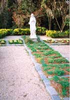 garden-magnolia-plantation