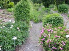 garden-medicinal-herb-garden