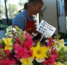 tourist-bluffton-farmers-market