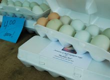 habersham-farmers-market-eggs