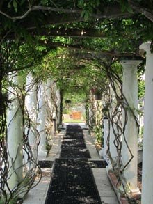 garden-davenport-pergola