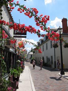 st-augustine-street-blossoms