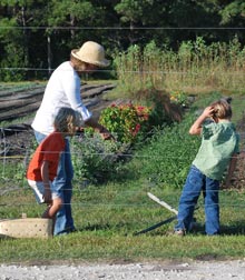 Farm to School: Stopping the GAPS