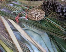 The Other Grasses and Rushes