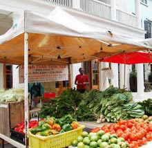 Habersham Harvest Festival