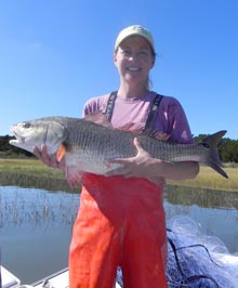 dnr-wendy-newly-redfish