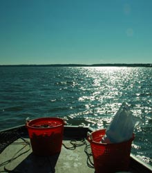 watermen-baskets-green-shell