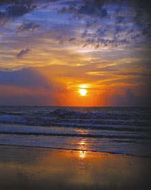 spring-fever-beach-sunset