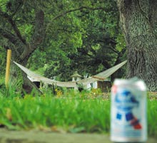 srping-fever-hammock-beer