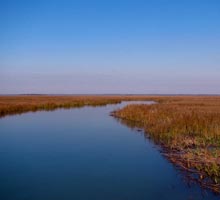 land-trust-marsh