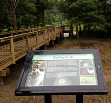 cypress-wetlands-boardwalk