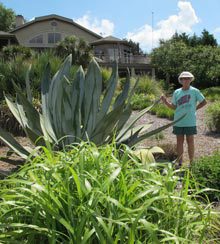 garden-susan-harden