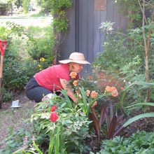 garden-tei-tober