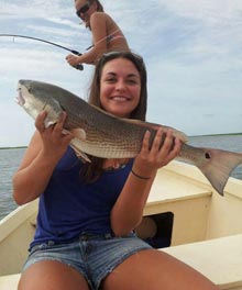 Sandbar Summers, Southern Nights