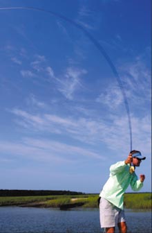 Fishing-blue-sky