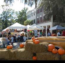 Celebrate Fall at Harvest Festival
