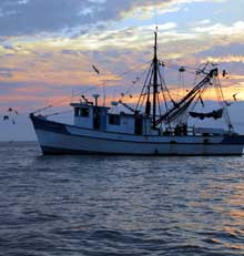 Eyes-Shrimp-boat-Wes-Grady