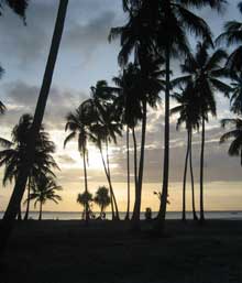 The Outsider Abroad: Zanzibar