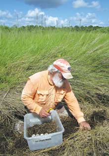 GATOR-nest