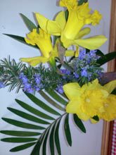 garden-daffodil-and-rosemary