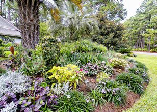 27th Annual All Saints Garden Tour