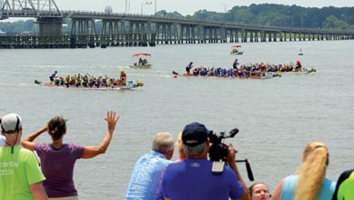 DBB-bridge-boats