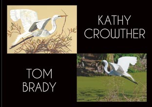 Wings-CrowtherBrady
