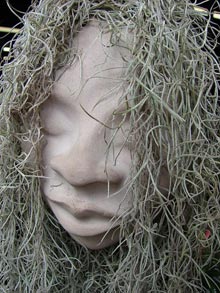 garden-Spanish-Moss-hair