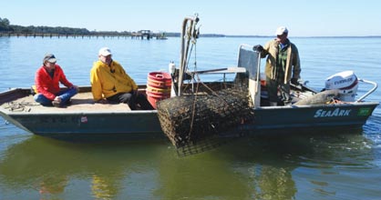 oysters-boat