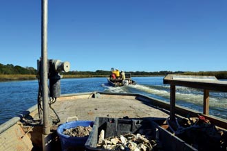 oysters-skiffs