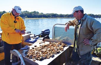 oysters-two-guys