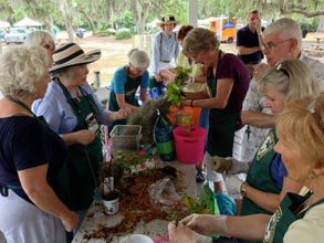 Lunch & Learn . . . About Your Garden