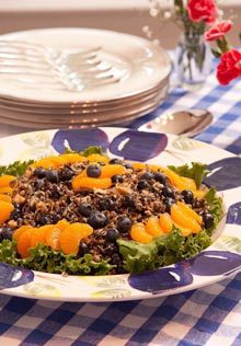 everyday-blueberry-wild-rice-salad