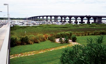 View-with-Bridge