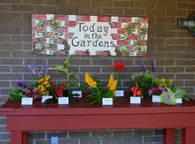 garden.jpg