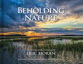 Beholding-Nature-Cover