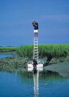 beholding-Eric-Horan-on-Ladder