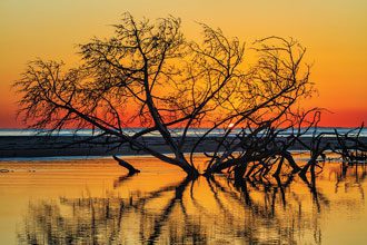 beholding-South-Beach-Sunrise-at-Ossabaw-GA