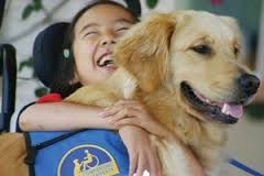 dogs_3.jpg