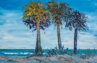 DawntoDusk-Beach-Palmettos